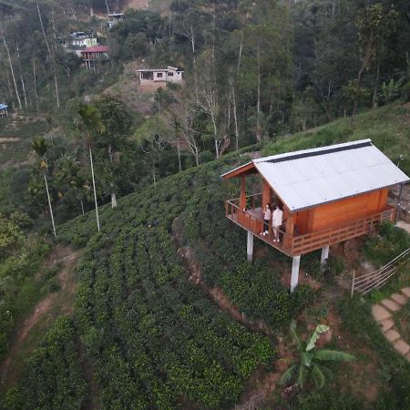 Green Narture Paradise Ella Exterior foto