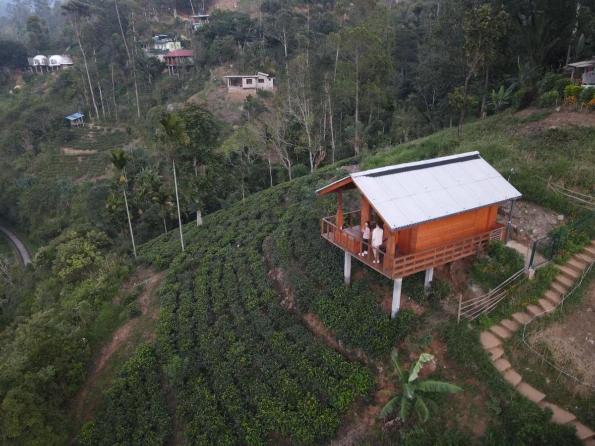 Green Narture Paradise Ella Exterior foto